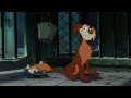He S A Tramp From Lady And The Tramp