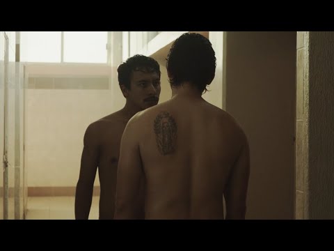 Tráiler Territorio 2019