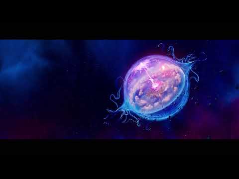 star wars event  Moving  Follow me responding to chat