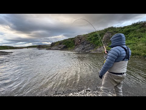 Salmon Fishing in ICELAND