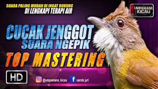 Download lagu dahsyat untuk ancaman || TOP MASTERING MURAI BATU mp3