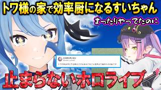 トワ様が休養中にやってたパズルで効率中になるすいちゃんｗ【ホロライブ切り抜き/星街すいせい/常闇トワ】