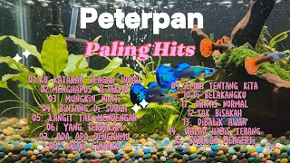 Download lagu Lagu Hits Populer Peterpan tahun 2000an mp3