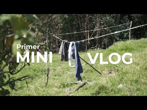 Pequeños fragmentos de UN VIAJE A UBATÉ, Cundinamarca 🌿