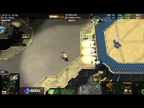 SC2 ForGG vs Polt Game 2 Winners Bracket Round 1 DreamHack Open Winter 2014