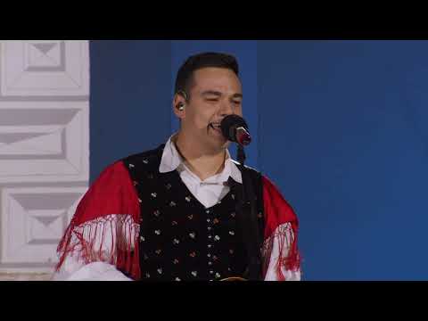 Ansambel Brloga - Pivo (Festival Oplotnica 2024)