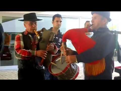 Palheta Bendita 2014 - Ti Carriço e Toni das Gaitas