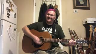 Mr. Lady (acoustic cover of The Lunachicks)