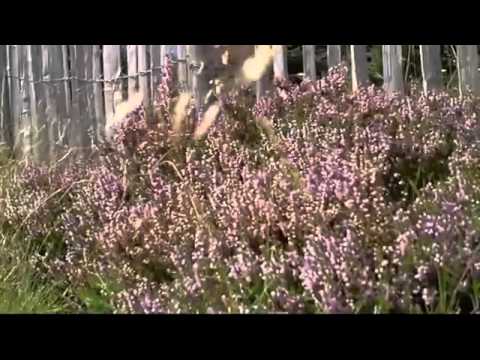 Pensiuni Pitesti - Cazat.ro