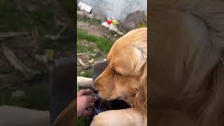 Download lagu https://www.facebook.com/reel/766969743088146/?fs=e&mibextid=wwXIfr&fs=e mp3 Download lagu https://www.facebook.com/reel/766969743088146/?fs=e&mibextid=wwXIfr&fs=e mp3