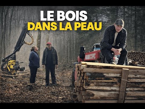le bois dans la peau
