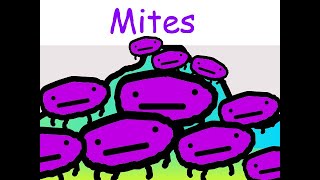 Sandspiel Mites!