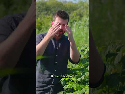 Unlocking the Power of the Amazing Yellow Fruit