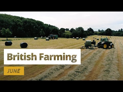Farm worker video 1
