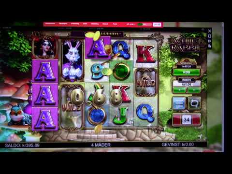 MongoTV_1703 - Mongo Slots - Del 8 - LeoVegas - White Rabbit - 1 Kr. Indsats