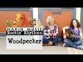 Woodpecker