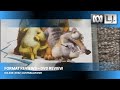 DVD Review 199 Ice Age 2002 Australian DVD