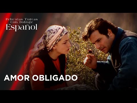 Amor Obligado - Película Turca Doblaje Español - 4Kseries - Al Fadimem