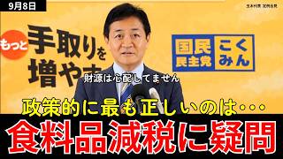 玉木代表「財源は心配していません」消費税減税を巡る本音