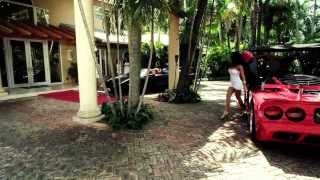 Pitbull ft El Cata '' Cotorra y Voli ''