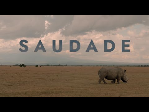 SAUDADE de Sandra Duarte Cardoso e Tiago Iúri (2021) – trailer