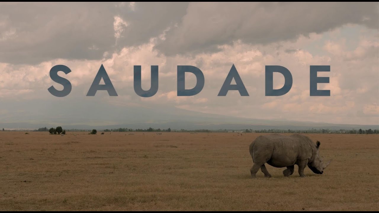 SAUDADE de Sandra Duarte Cardoso e Tiago Iúri (2021) – trailer
