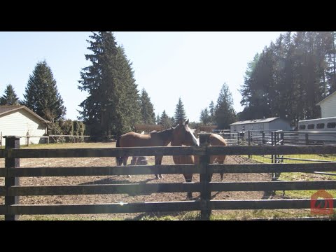 24032 66 ave Langley Amy Brattebo - Langley Acreage and Equestrian Property Real Estate Specialist