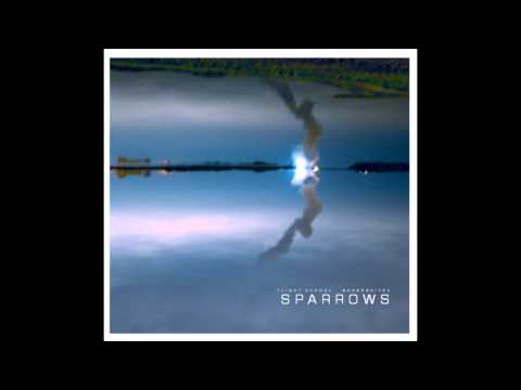 Sparrows by Brokenkites