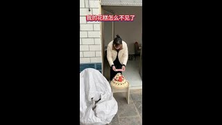 Download lagu 3xwbctcat8f35uq.mp4 mp3