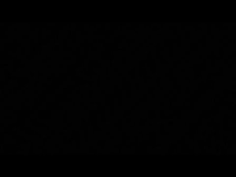 Stressful Dogma Vs Lost fight