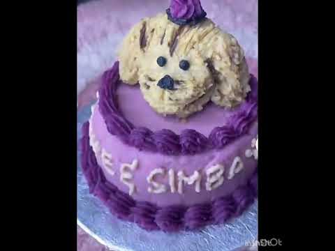 Pet cake #EasyLifestyle#we make your beautiful moment #Sameen’sWorld ￼