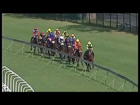 2019.06.01 Lonsdale Stirrup Cup (RSA) - Liege