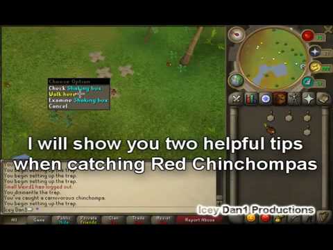 RuneScape Money Making Guide  500k Plus Per Hour