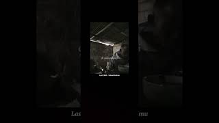 Download lagu Story Last Child - Sekuat Hatimu #liriklagu #fyp #viralvideo #shorts mp3