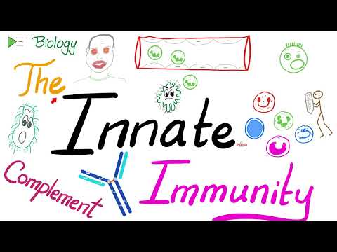 The Innate Immunity and the Complement System - Immunology