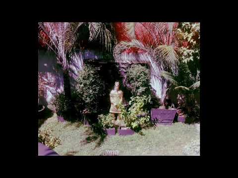 Pinkshinyultrablast - Holy Forest