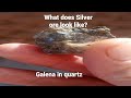 what does silver ore look like? find out here