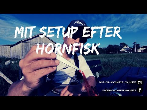 Mit setup efter hornfisk