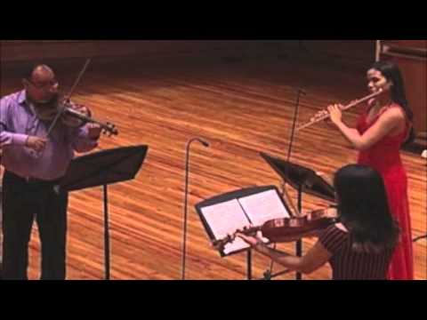BEETHOVEN Trio Serenade for flute, violin and viola opus 25. (I) Entrata