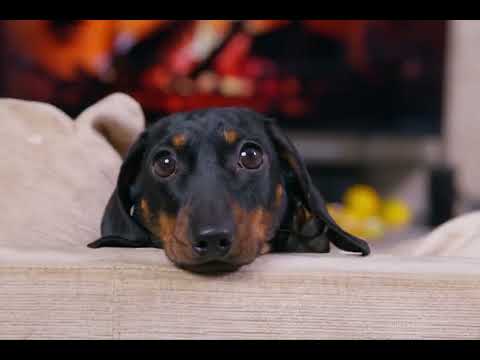 Amantii Signature Series Featuring the Optimyst&reg;