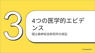 5月21日『小満』の新緑で睡眠改善！森林浴の医学的効果を完全解説【2026年最新】