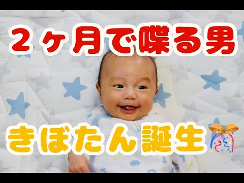 Descargar 完全版 赤ちゃんがはいはいできるようになるまでのまとめ 育児記録