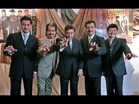 download lagu mp3 mp4 Los Tigres Del Norte Rar, download mp3 Los Tigres Del Norte Rar free download, download mp3 Los Tigres Del Norte Rar