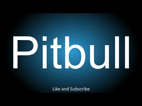 How to correctly pronounce - Pitbull.