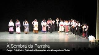preview picture of video 'GFCRAlb - Festival Nacional Folclore  Montemor-o-Novo 2014'