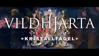 Musik-Video-Miniaturansicht zu + kristallfågel + Songtext von Vildhjarta
