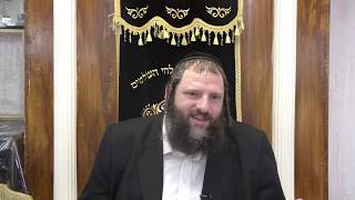 עמלק קליפת כלב שילוב שור וחמור, והניצחון עליו בכח יעקב אבינו עם יוסף ויששכר - פרי צדיק זכור אות י"א