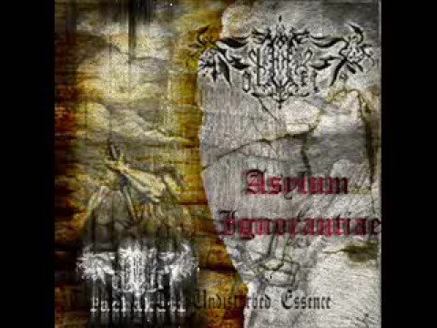 Folkheim.:.Asylum Ignorantiae/Epilogue