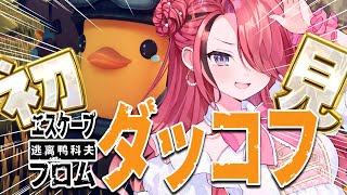 【エスケープ フロム ダッコフ】初見ダッコフやってみるぞ～！【レイン・パターソン/にじさんじ】