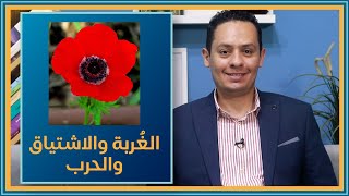 صورة أصحوت اليوم أم شاقتك هر (3) - طرفة بن العبد - بعد التهجير تشتاق لأهلك